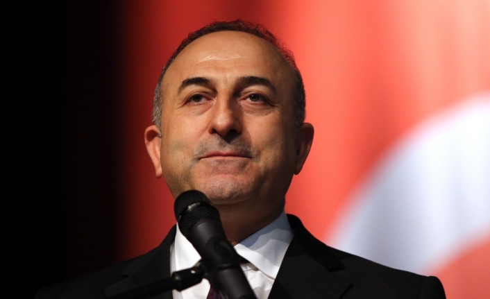 Yeni sistemin ilk Dışişleri Bakanı Mevlüt Çavuşoğlu