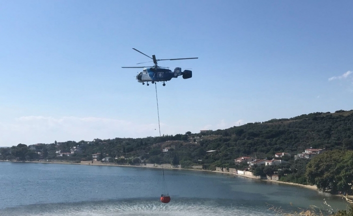 Yol kenarında başlayan yangın ormanlık alana sıçradı