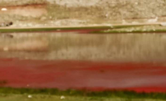 Alanya’da kırmızıya dönen göl şaşırttı