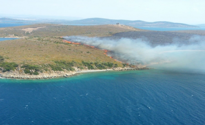 Ayvalık Maden adasında orman yangını