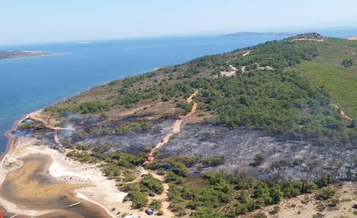 Ayvalık’taki orman yangını söndürüldü
