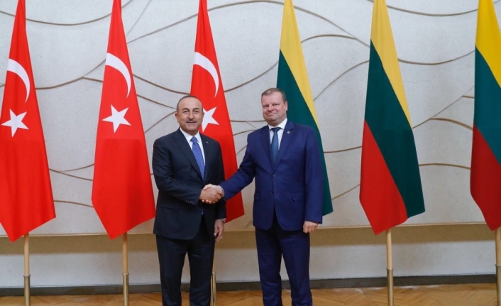 Çavuşoğlu, Litvanya Başbakanı Skvernelis ile görüştü