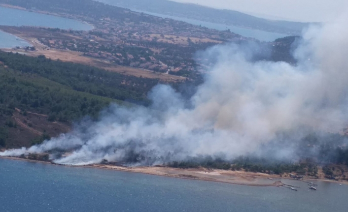 Cunda Adasında orman yangını