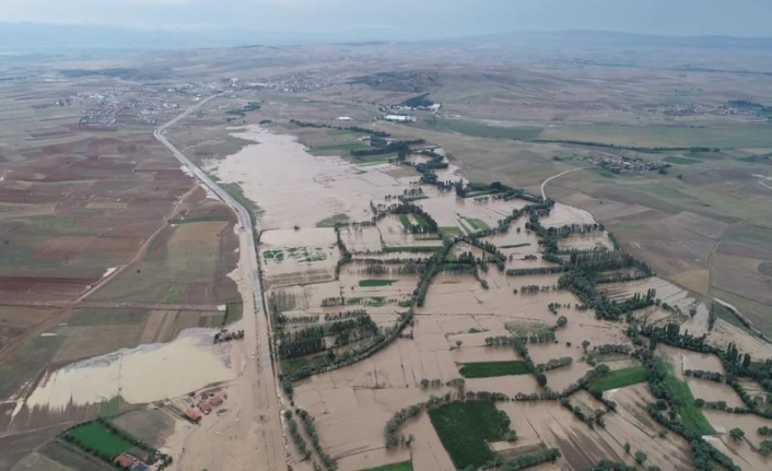 Evler su altında kaldı, hayvanlar telef oldu