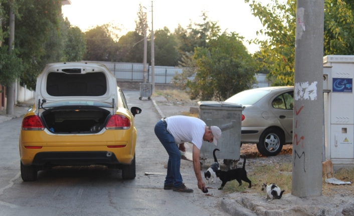 Hayvansever taksiciden insanlık dersi