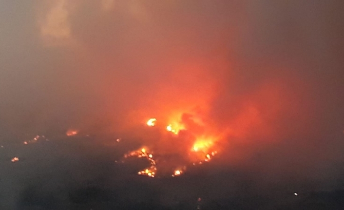 Kastamonu’da orman yangını