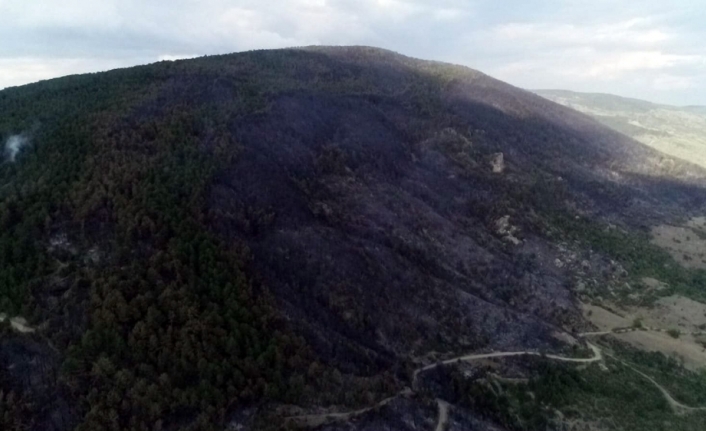 Kastamonu’da orman yangının enkazı havadan görüntülendi