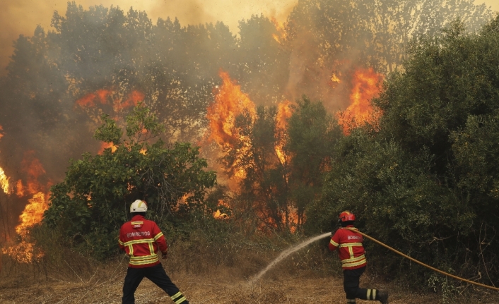 Portekiz’de orman yangınları söndürülemiyor