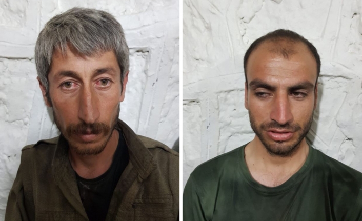 Şırnak’ta 2 PKK’lı terörist yakalandı