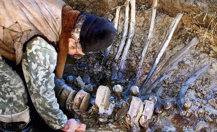 Yakutistan’da mamut fosili bulundu