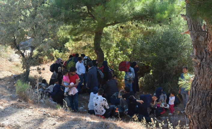 106 kaçak göçmen yakalandı