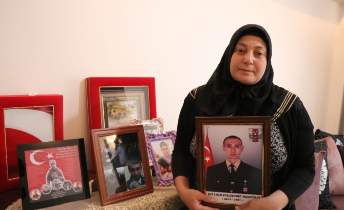 Afrin şehidinin annesi: İdam edilmelerini istiyorum