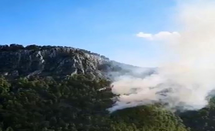 Antalya’da orman yangını