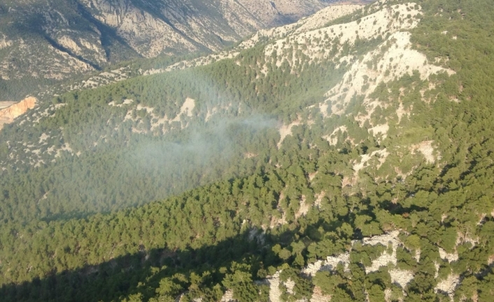 Antalya’daki orman yangını söndürüldü