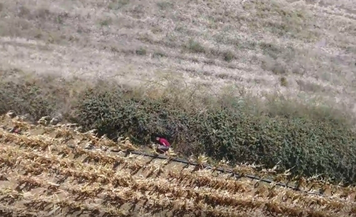 Çanakkale’de drone ile nefes kesen kovalamaca