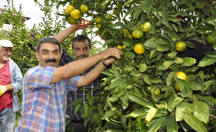 Dalında 75 kuruş tezgahta 4 katı