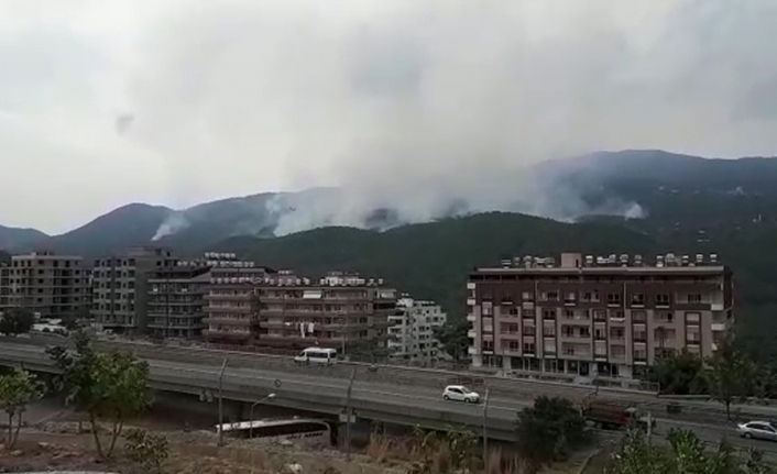 Hatay’daki yangın kısmen kontrol altında