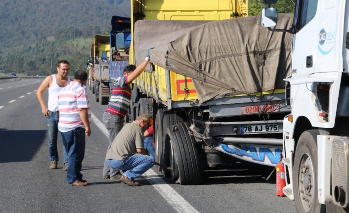 Kamyona giren arı kaza yaptırdı