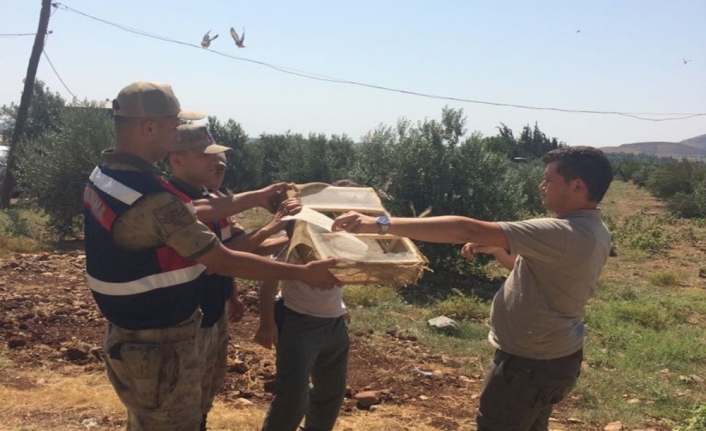 Saka kuşu yakalayan Suriyelilere suçüstü