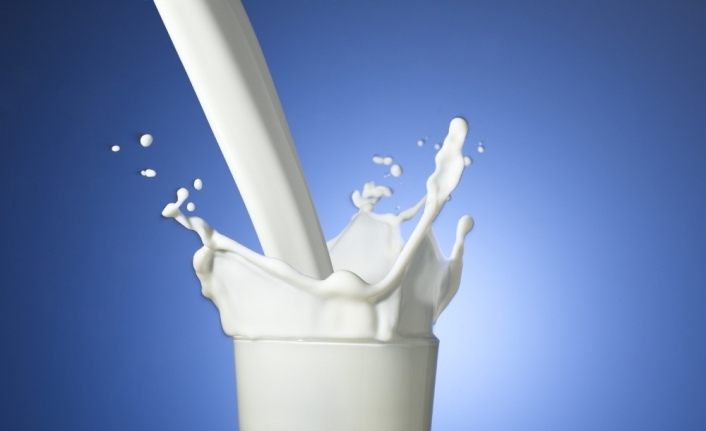 Tarım Bakanlığından “ABD’den süt ithali” haberine yalanlama
