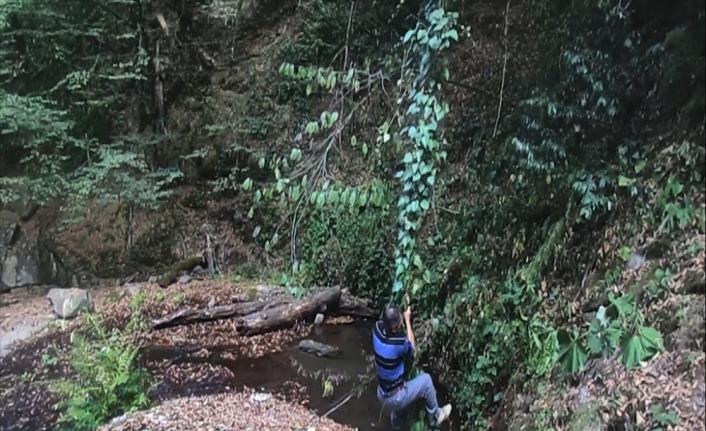 Tarzan’a özendi ama finalde suya düştü