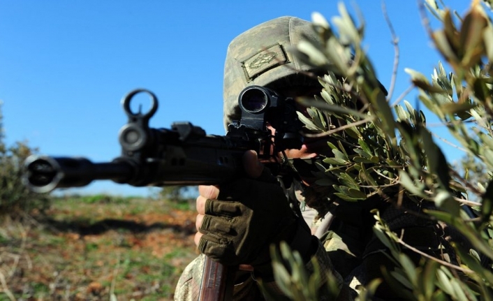 Tunceli’de 10 terörist etkisiz hale getirildi