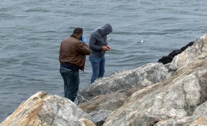 Vahşet: Boğazı kesilmiş ceset bulundu !