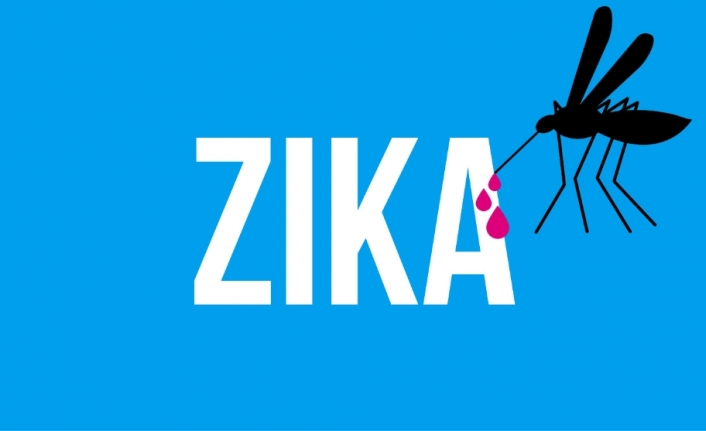 72 kişide zika virüsü tespit edildi