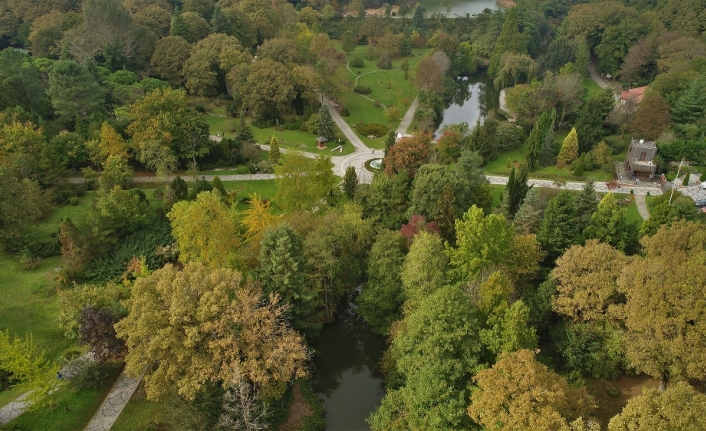 Atatürk Arboretumu hayran bırakıyor