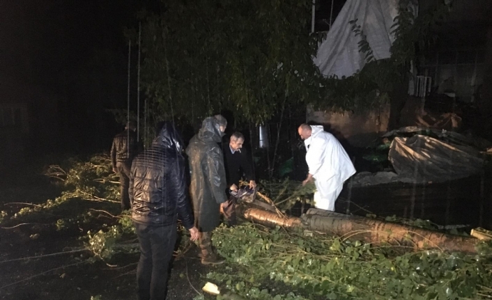 Beytüşşebap’ta ağaçlar devrildi, çatılar uçtu