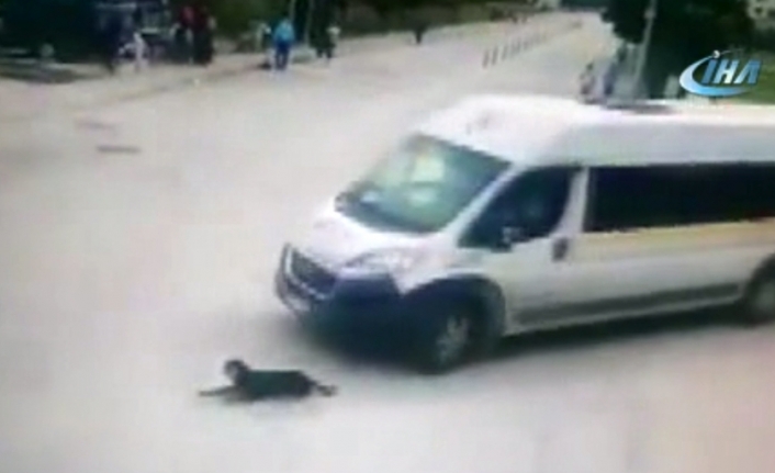 Cani şoför işten çıkartıldı