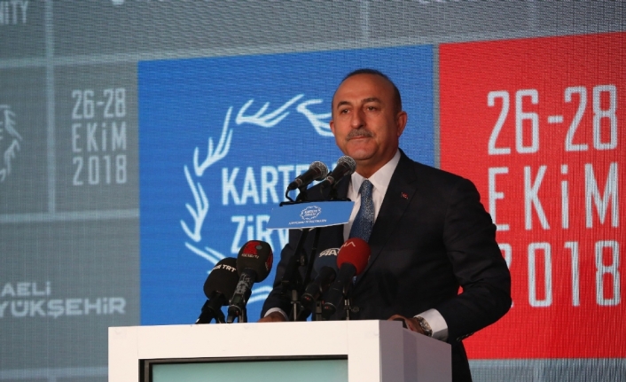 Çavuşoğlu’ndan göç sorununda işbirliği çağrısı