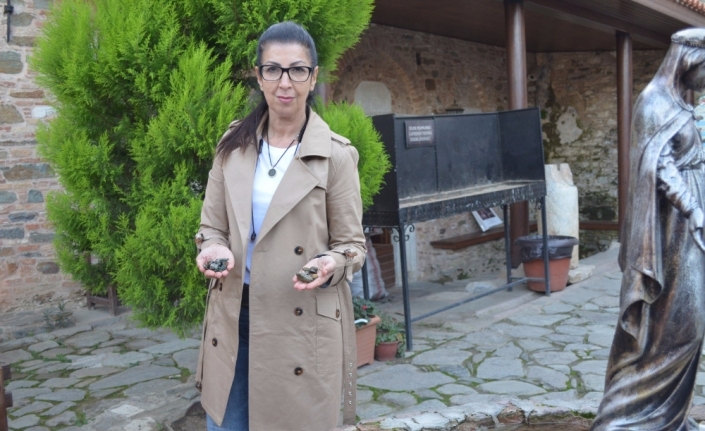 Havuza atılan paralara ne oluyor?