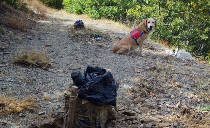 İkisi tuzaklanmış toplam 340 kilo patlayıcı ele geçirildi