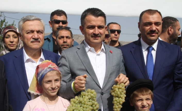 Mısır üreticilerine müjde