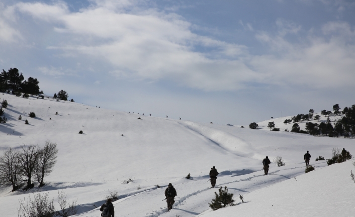 PKK Karadeniz’de kış üstlenmesi yapamadı