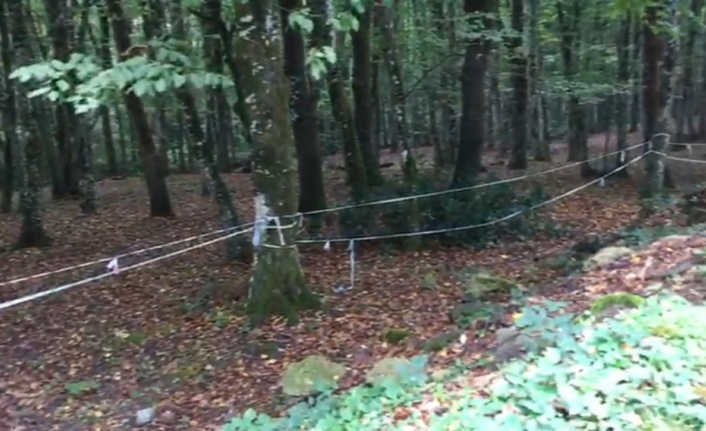 Polis Cemal Kaşıkçı’nın izini Belgrad Ormanı’nda arıyor