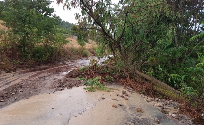 Sri Lanka’da şiddetli yağış ve fırtına: 9 ölü