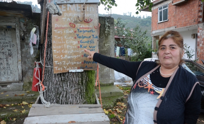 Temel’in hava durumu tahmin taşı gülümsetiyor