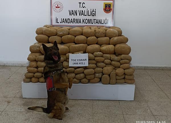 486 kilo esrarı narkotik köpeği ‘Kaşkol’ buldu