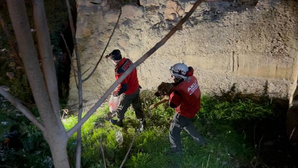 Ankara'da çaya düşen köpek kurtarıldı