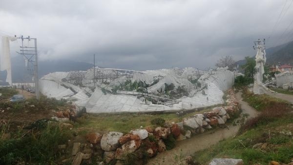 Mersin'de kuvvetli rüzgar, seraları yıktı (2)