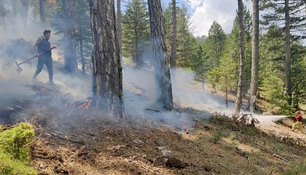 Muğla'da 1,5 ayda düşen yıldırımlar nedeniyle 28 orman yangını çıktı