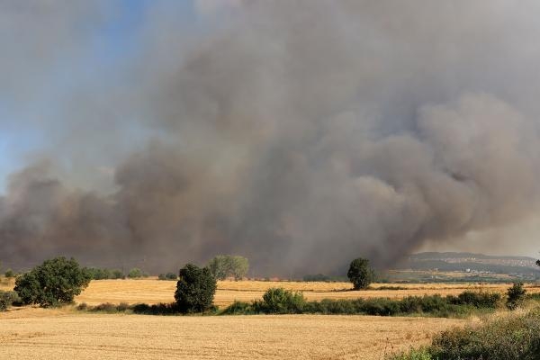 Edirne’de 2 bin dönüm buğday ekili alan yandı