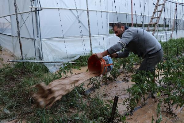 Oltu'da sağanak yağmur, ekili arazi ve seralara zarar verdi