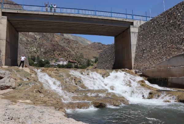 Yumurtalarını bırakmak için göçe başlayan binlerce sazana beton engeli