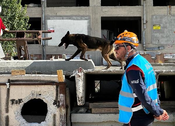 Hassas burunlara zorlu sınavla sertifika