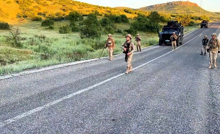 Diyarbakır'da 7 milyon 543 bin kök kenevir ve skunk ele geçirildi: 8 gözaltı