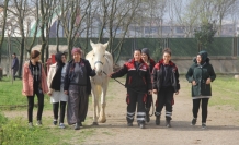 Dokunmaya korktukları atların seyisi oldular