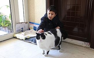 18 kiloluk ’Tombalak’ı zayıflatmak için seferber...